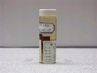 藏品(中間鰍鮀)的圖片
